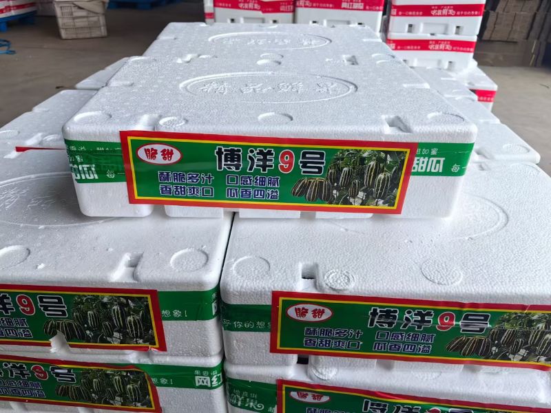 博洋九甜瓜大量上市，博洋72羊角蜜61档口团购代收代发