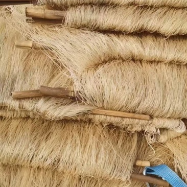 红薯粉条