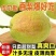 库尔勒香梨大量上市全国发货，欢迎进店沟通