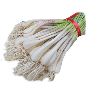 大量带叶藠头，新鲜现挖