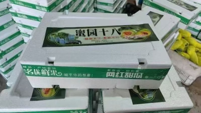 博洋61羊角蜜甜瓜博洋72蜜园十八绿美人档口团购代收代发