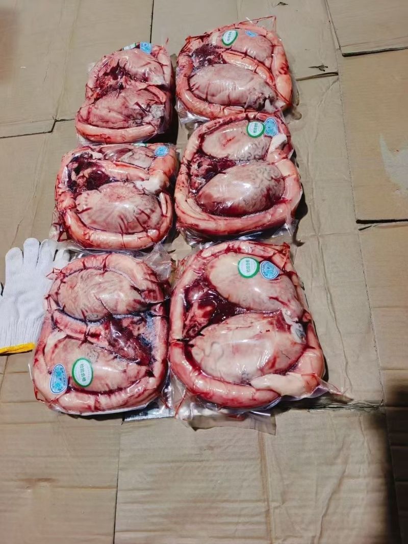 精品牛鞭宝