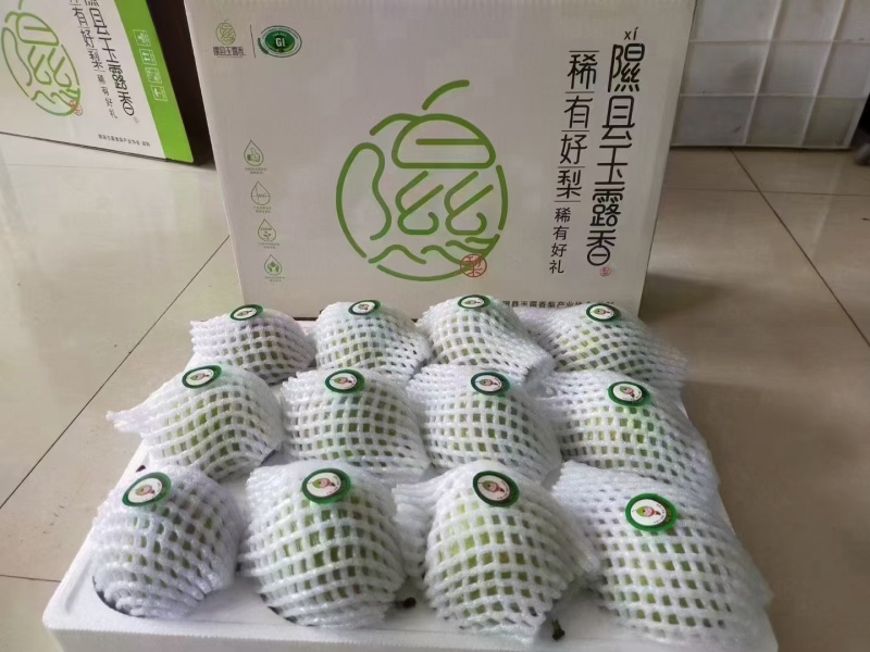 隰县玉露香梨