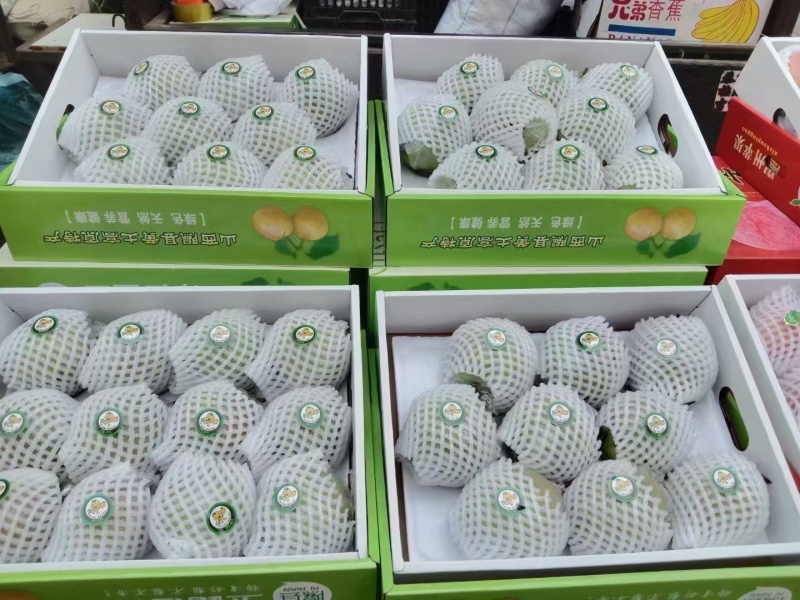 隰县玉露香梨