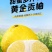 湖南怀化黄金贡柚，又叫象山青，脆爽甘甜，欢迎老板们采购