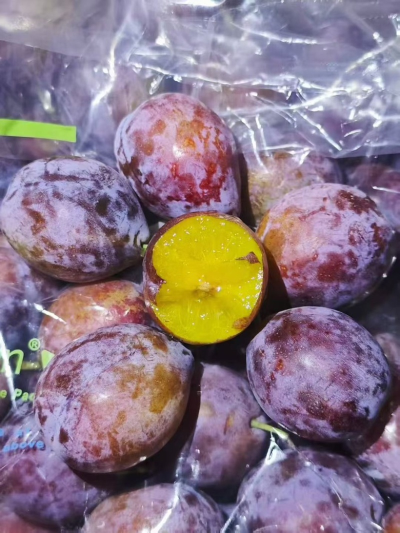 智利西梅江南市场一手货源质量稳定价格优势