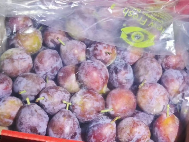 智利西梅江南市场一手货源质量稳定价格优势