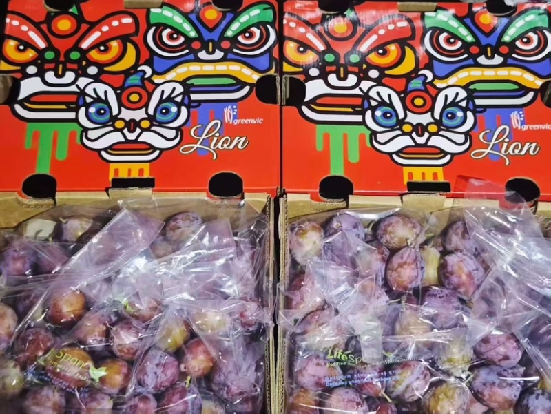 智利西梅江南市场一手货源质量稳定价格优势