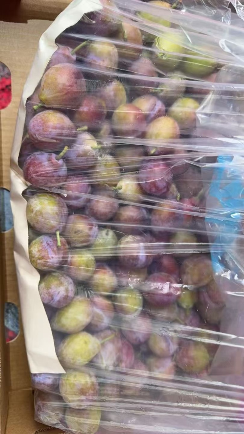 智利西梅江南市场一手货源质量稳定价格优势