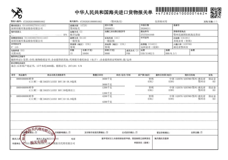 智利西梅江南市场一手货源质量稳定价格优势