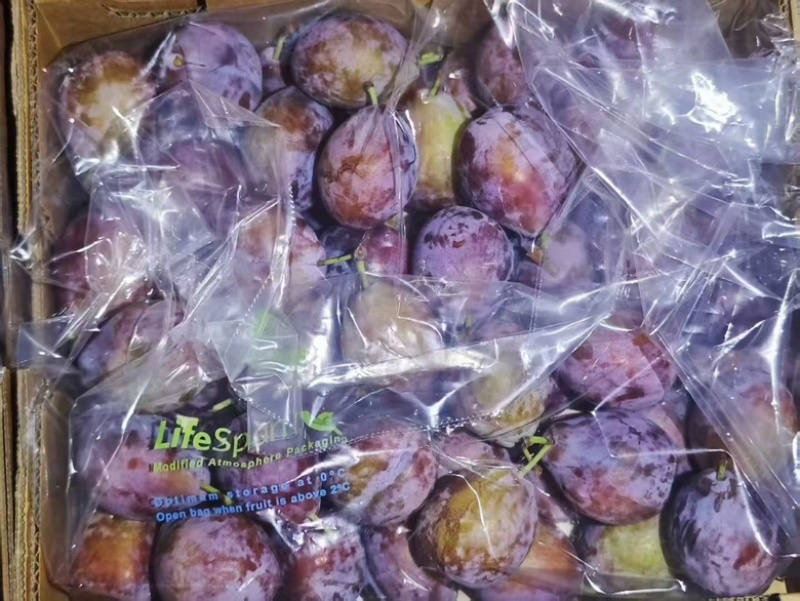 智利西梅江南市场一手货源质量稳定价格优势