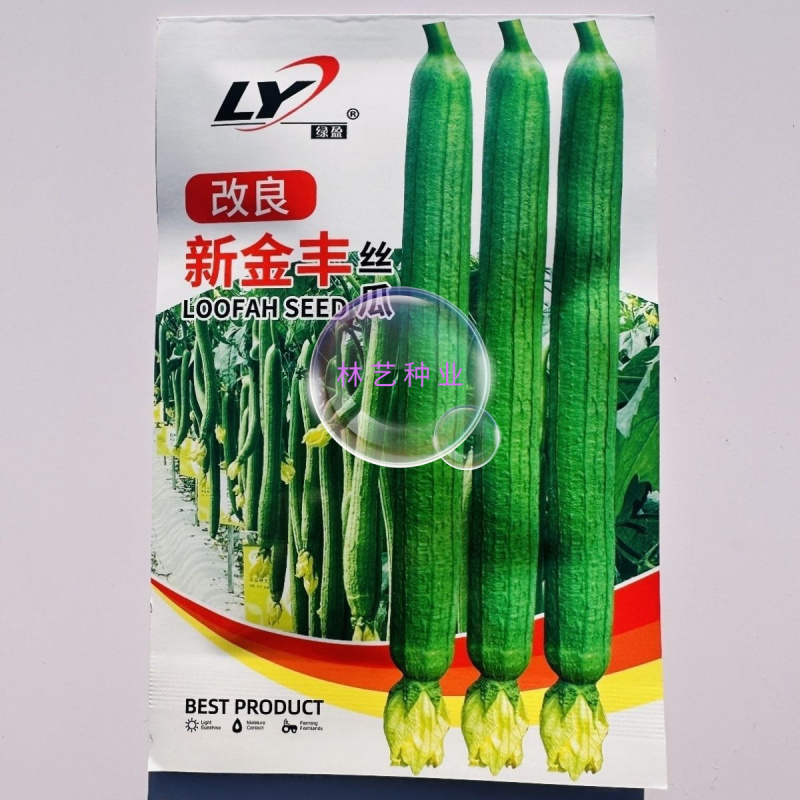 改良新金丰丝瓜种子特长丝瓜种子中绿丝瓜早熟高产香丝瓜