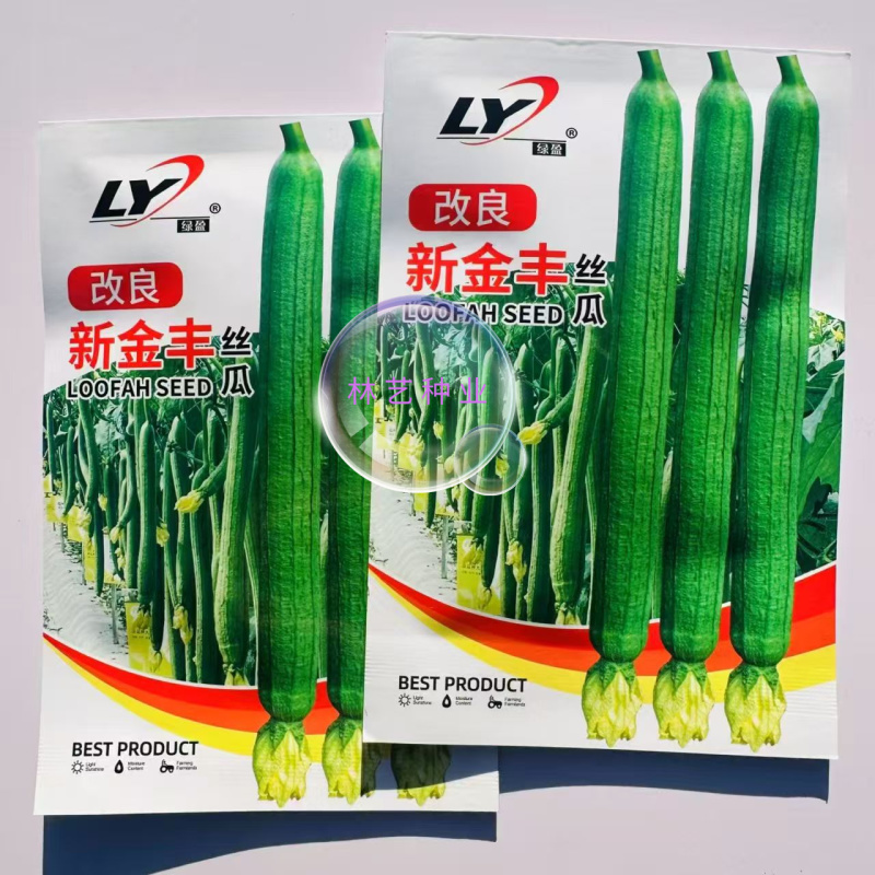 改良新金丰丝瓜种子特长丝瓜种子中绿丝瓜早熟高产香丝瓜