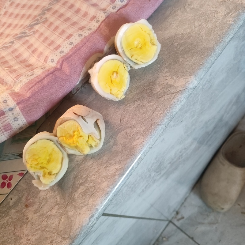 新鲜27斤大个鹅蛋