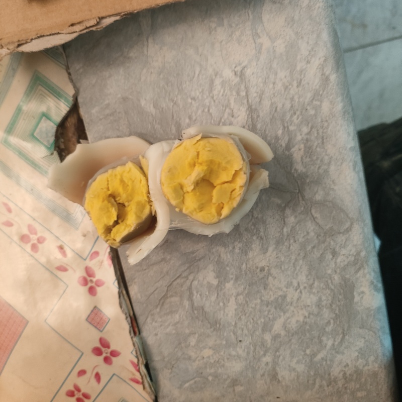 新鲜27斤大个鹅蛋
