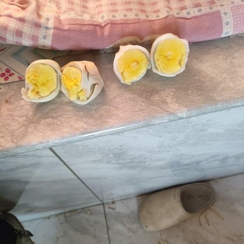新鲜27斤大个鹅蛋
