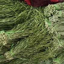 楚雄贡菜干