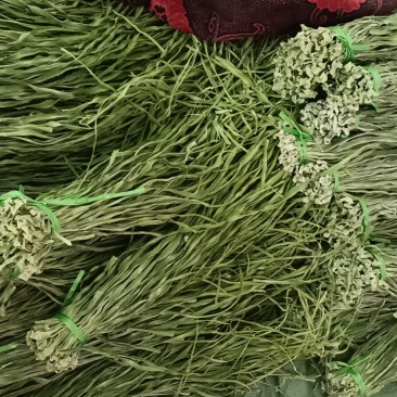 楚雄贡菜干