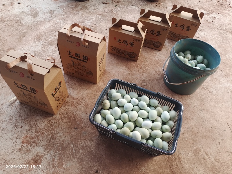 绿壳土鸡蛋