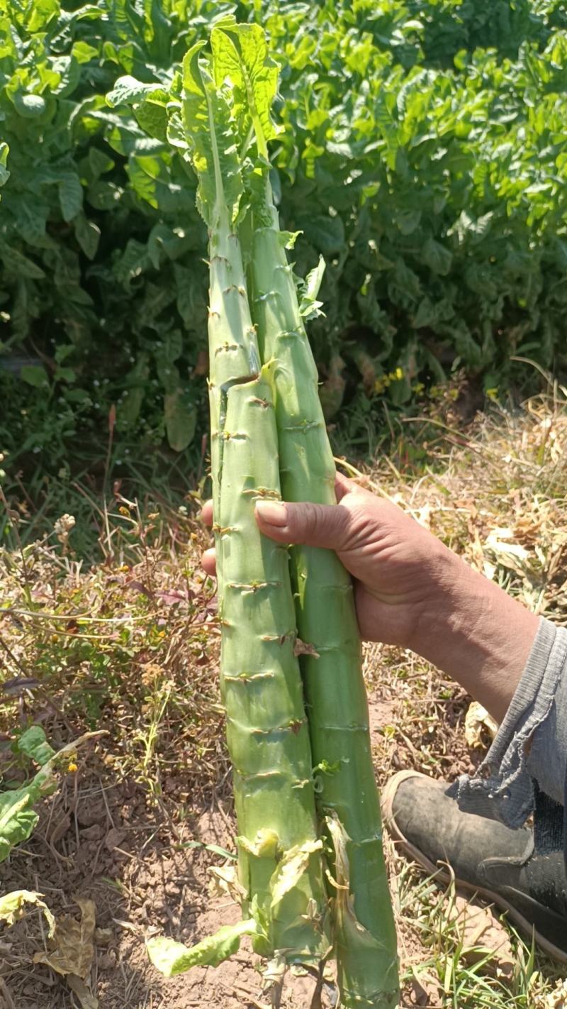三清(蔬菜)