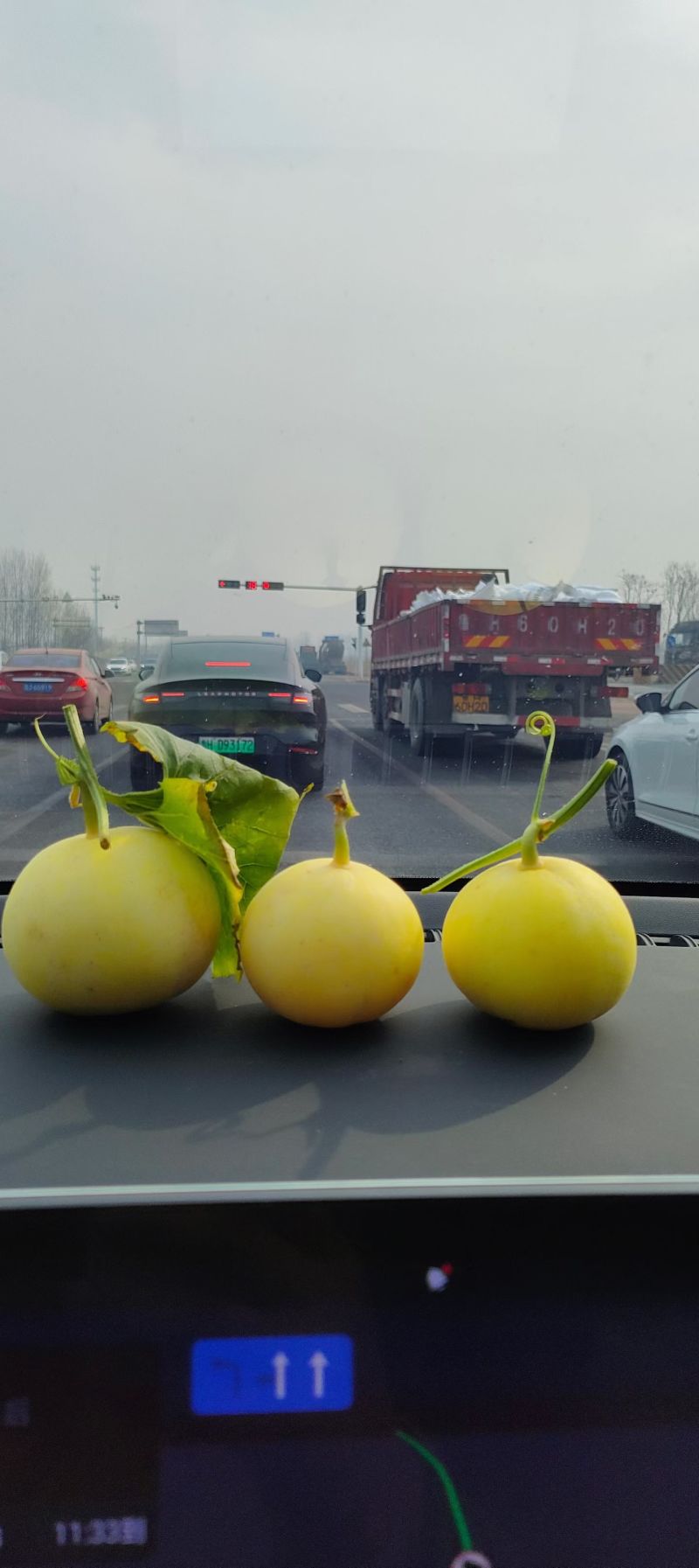 小蜜蜂甜瓜，原产地直发，电商货市场货价格美质量优