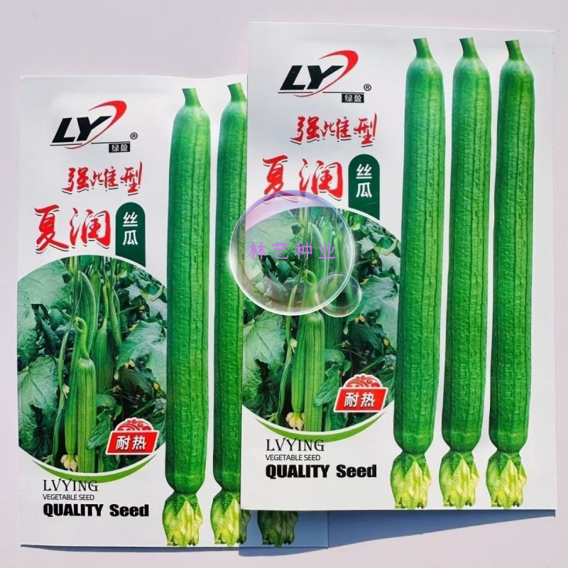 夏润丝瓜种子耐热长香丝瓜强雌特长丝瓜种籽早熟长棒高产节节