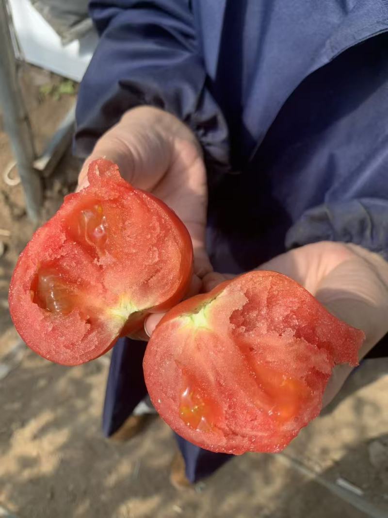 普罗旺斯西红柿