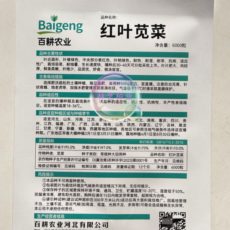 红叶苋菜种子阳台盆栽圆叶红苋菜种籽大叶花红苋菜