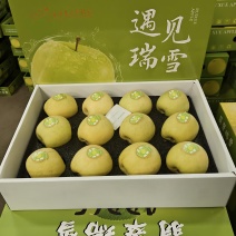 瑞雪苹果，精品货源，产地直发货源充足，欢迎各地老板来电