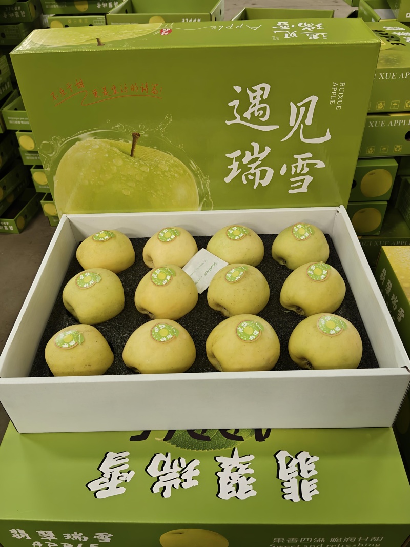 瑞雪苹果，精品货源，产地直发货源充足，欢迎各地老板来电