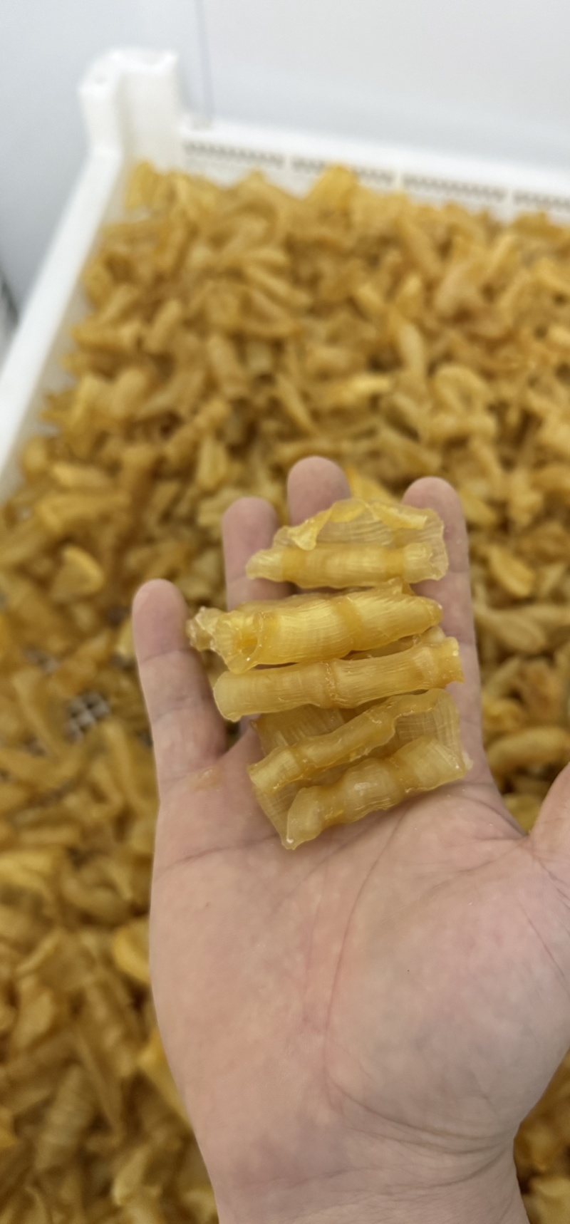 凤尾胶规格齐全资质齐全可定做