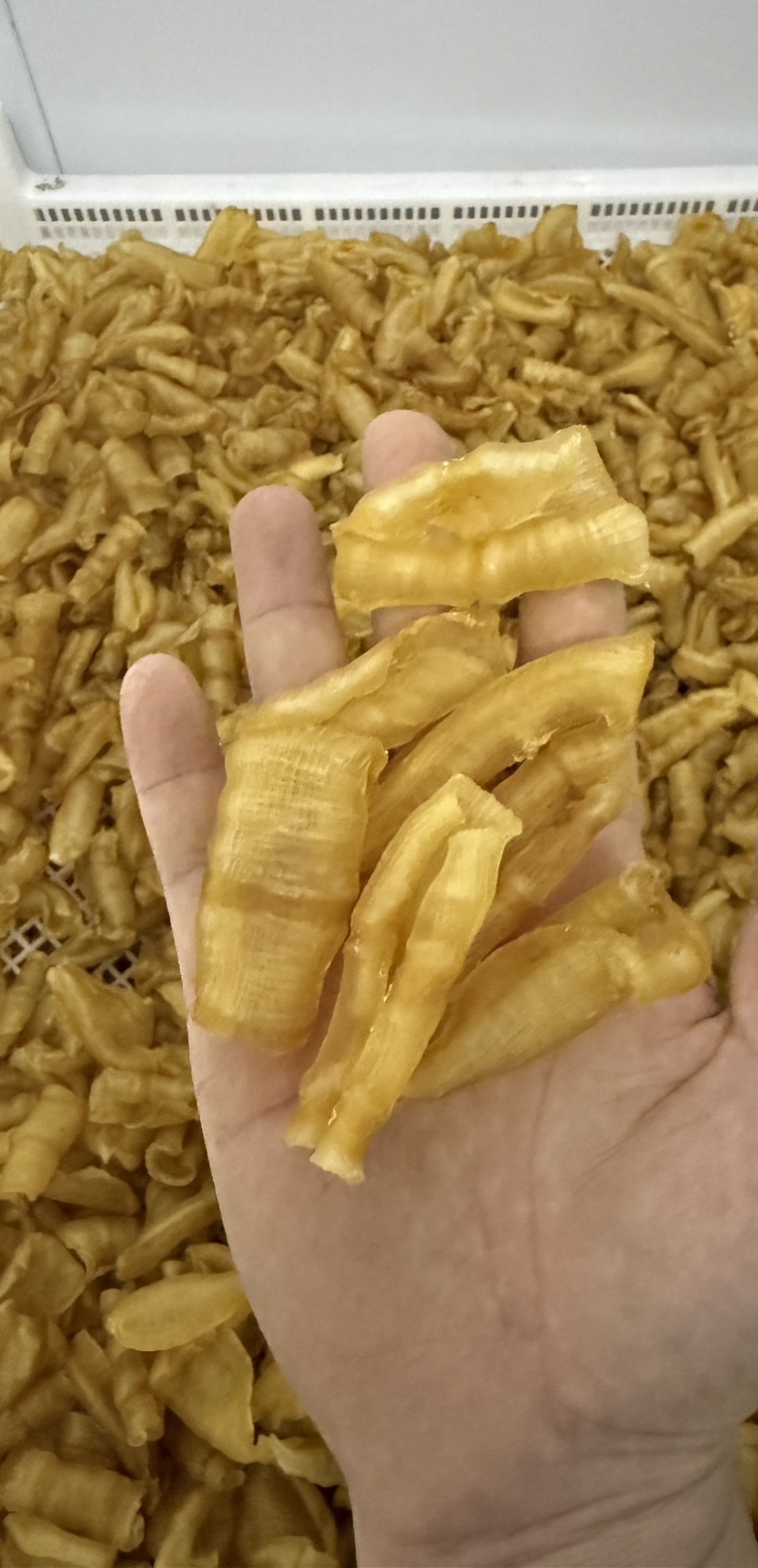 凤尾胶规格齐全资质齐全可定做
