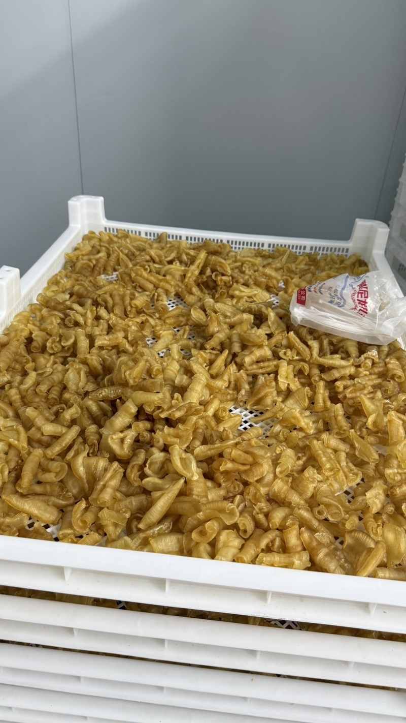 凤尾胶规格齐全资质齐全可定做