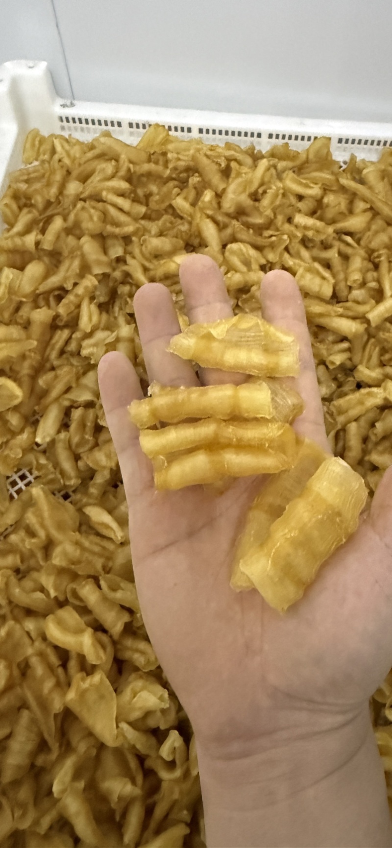 凤尾胶规格齐全资质齐全有量有价可定做