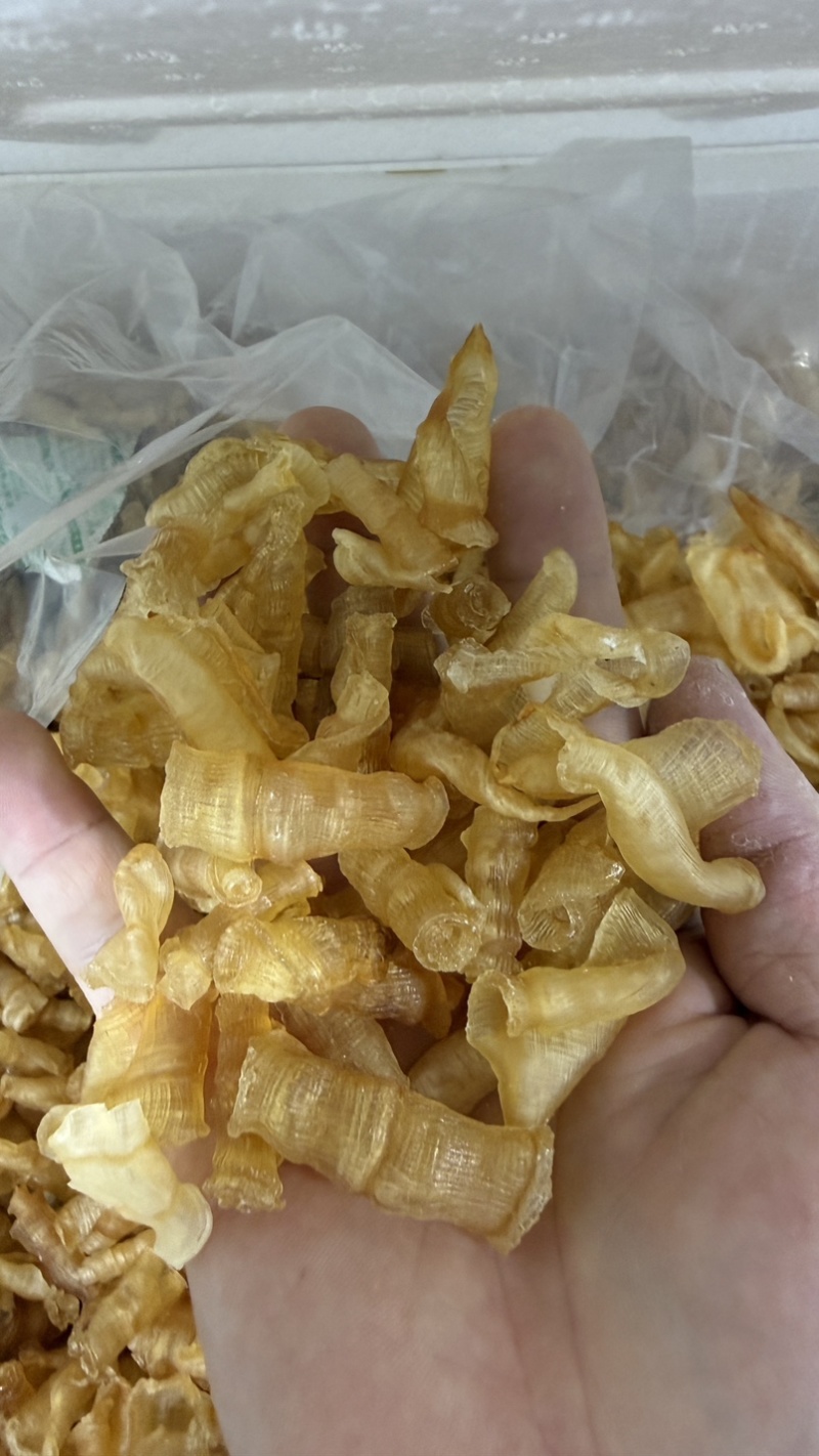 凤尾胶规格齐全资质齐全有量有价可定做