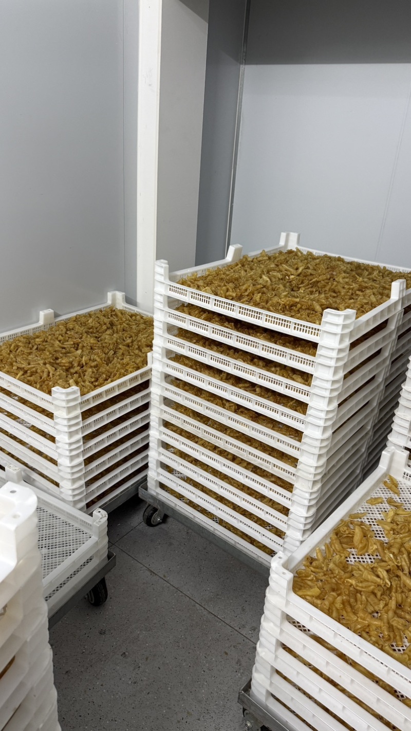 凤尾胶规格齐全资质齐全有量有价可定做