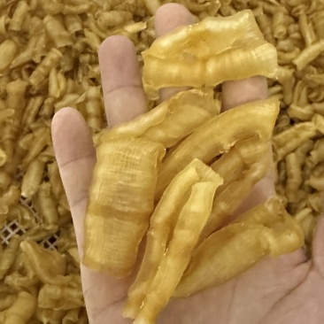 凤尾胶规格齐全资质齐全有量有价可定做