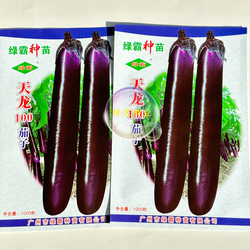 绿霸天龙100紫红长茄种子中晚熟长条型深紫红长茄子