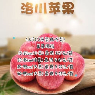 洛川红富士苹果