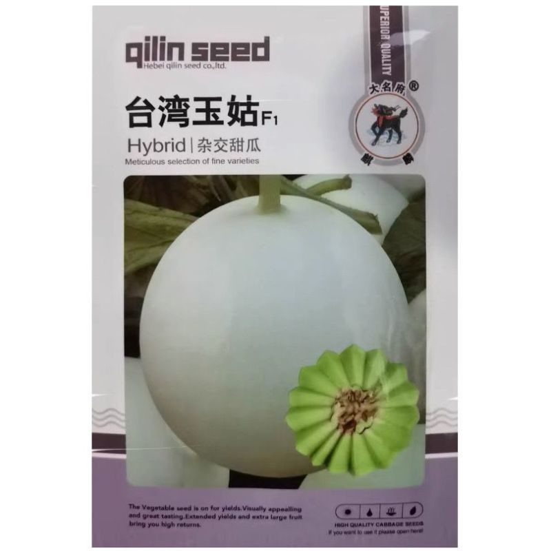 台湾玉菇甜瓜种子高端玉菇白皮绿肉冰淇淋软糯香甜蜜瓜种子