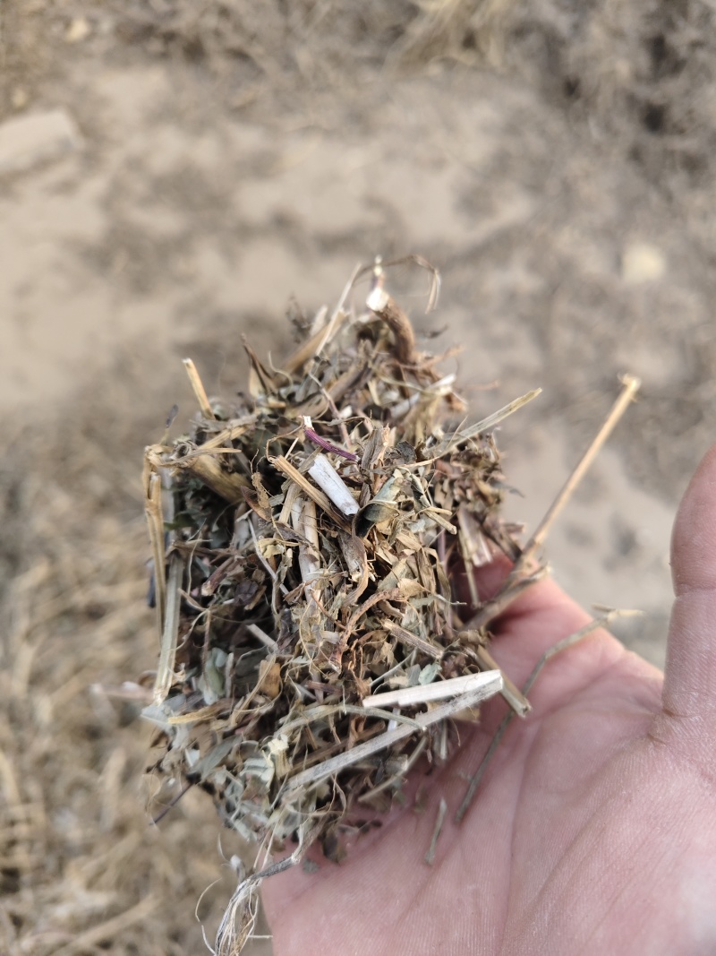 花生秧草料销售