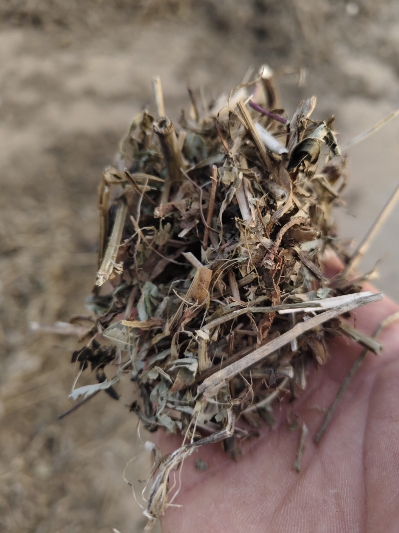 花生秧草料销售