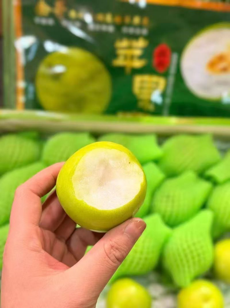 西双版纳苹果枣**品质高糖度