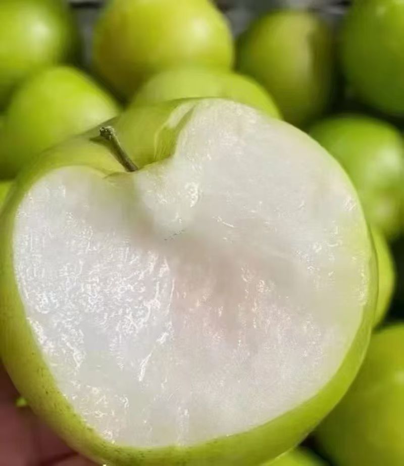 西双版纳苹果枣**品质高糖度