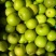 西双版纳苹果枣**品质高糖度