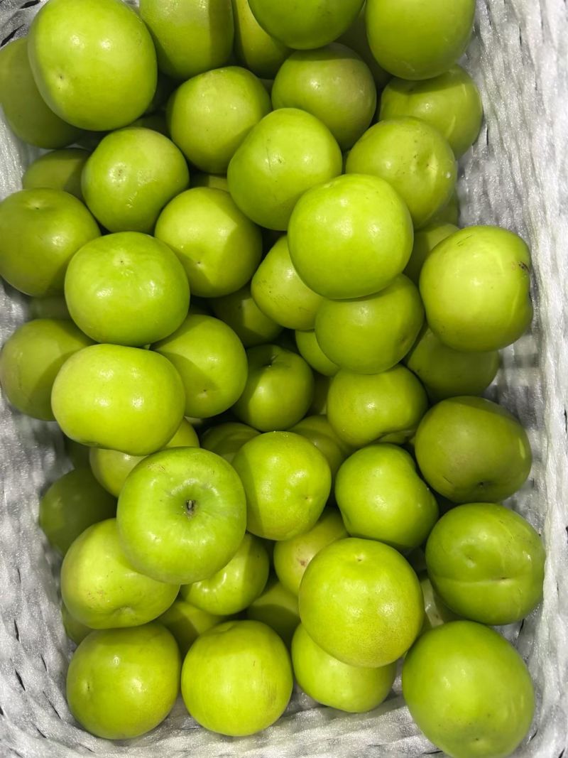 西双版纳苹果枣**品质高糖度