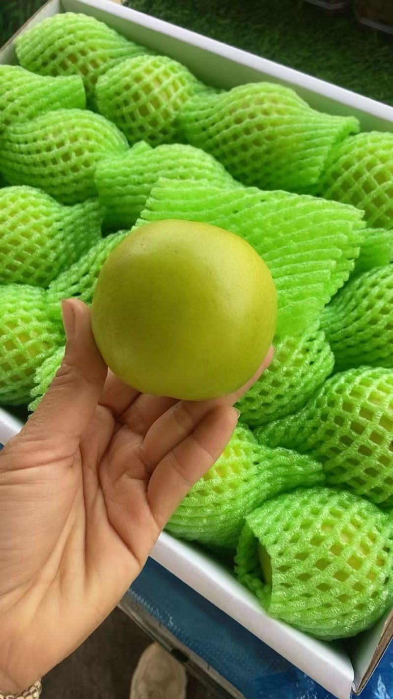 西双版纳苹果枣**品质高糖度