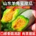 山东羊角蜜甜瓜支持各大平台电商一件代发包售后