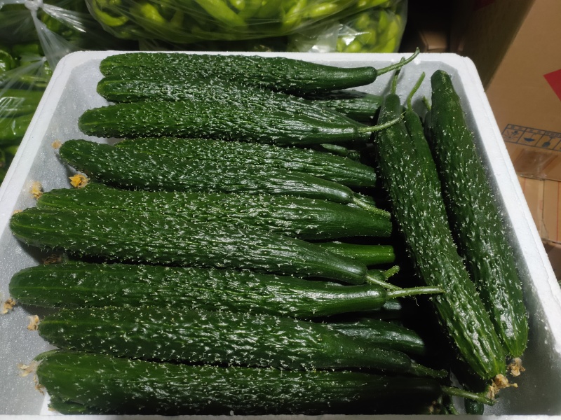 精品黄瓜