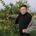 重庆明日见柑橘基地直供，规格齐全，一件代发货发全国